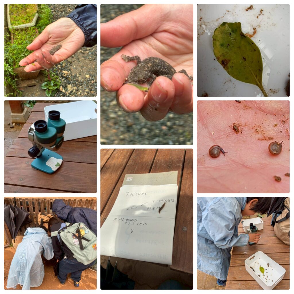 のじ～さんゆるっとしぜん探検隊　5/7➩5/14に変更となりました！！